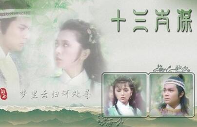 宏大出息里的十三太保都有谁?履历上真有十三太保吗?