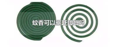 ​蚊香可以防止蟑螂吗 蚊香会驱赶蟑螂吗