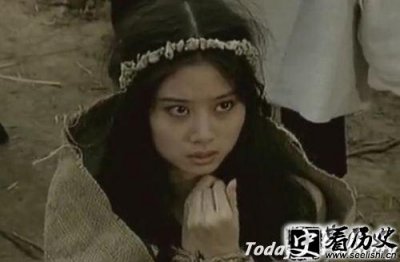 ​晋惠公与晋文公的关系 晋惠公的儿子 晋惠公女儿