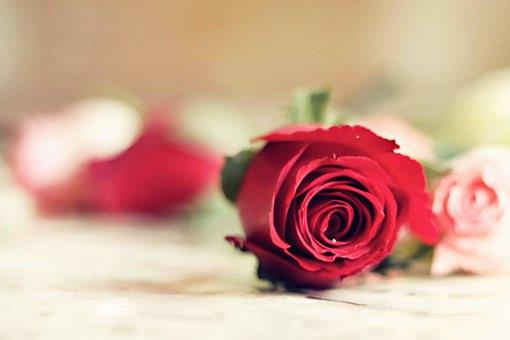 情人节怎么过有意义?古代人那么保守他们过节吗?