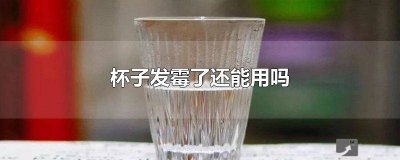 ​不锈钢杯子发霉了还能用吗有毒吗 不锈钢杯子发霉了还能用吗怎么清洗