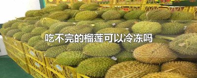 ​吃不完的榴莲可以冷冻吗能放多久 吃不完的榴莲可以急冻吗