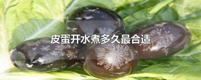 ​皮蛋用水煮多久熟 皮蛋用水煮多久可以吃