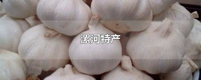 ​漯河特产有哪些 漯河特产美食