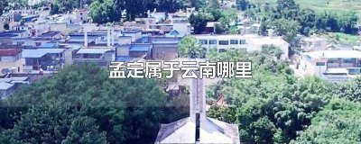 ​孟定属于云南的哪个市 孟定属于云南哪个县城