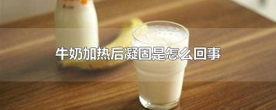 ​牛奶煮凝固了 牛奶转热凝固