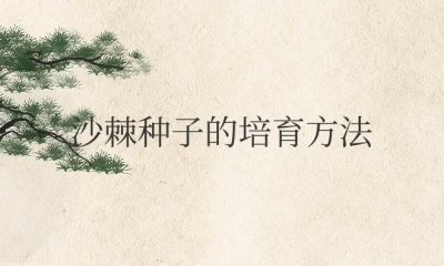 ​沙棘种子的培育方法（怎么种植沙棘种子容易出苗）