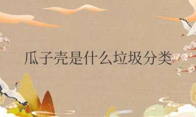 ​瓜子壳属于什么垃圾分类的类型