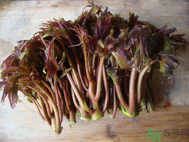 怎么挑选香椿呢？挑选香椿的小窍门？