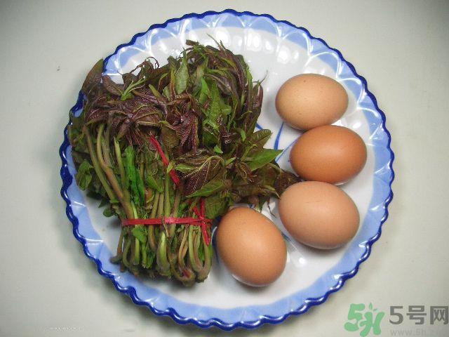 怎么挑选香椿呢？挑选香椿的小窍门？