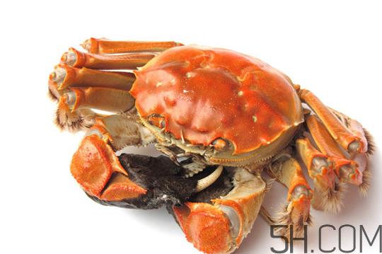 大闸蟹可以和南瓜一起吃吗？螃蟹不能和什么水果一起吃？