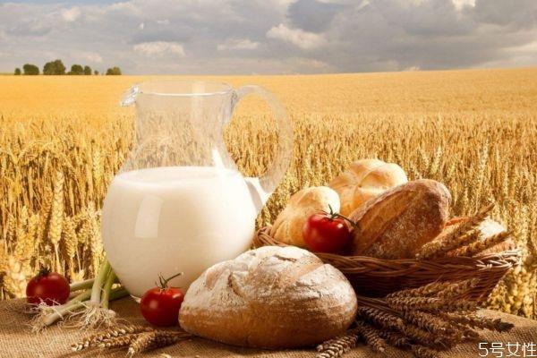 什么时候喝牛奶最好呢 牛奶应该饭前喝还是饭后喝呢 什么时候喝牛奶最好呢 牛奶应该饭前喝还是饭后喝呢