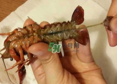 ​小龙虾腹部黑线是什么_小龙虾腹部黑线怎么去除