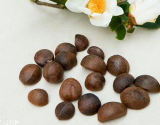 茶油是什么味道 略带苦味 茶油是什么味道 略带苦味