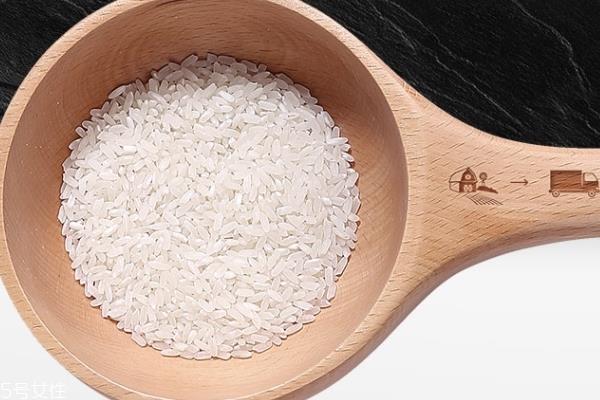 东北大米什么时候收割 十月份左右 东北大米什么时候收割 十月份左右