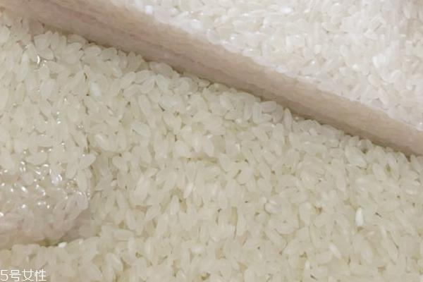 东北大米什么时候收割 十月份左右 东北大米什么时候收割 十月份左右