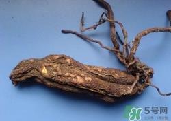 何首乌可以长期服用吗?何首乌长期吃的副作用 何首乌可以长期服用吗?何首乌长期吃的副作用