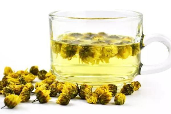 菊花茶是绿色的正常吗 菊花茶最好现泡现喝 菊花茶是绿色的正常吗 菊花茶最好现泡现喝