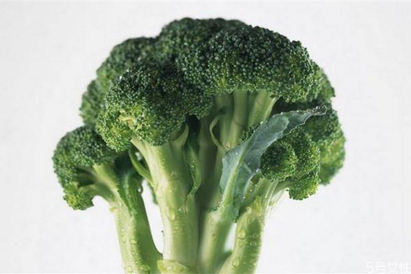 为什么吃西兰花可以减肥呢 吃西兰花有什么作用呢 为什么吃西兰花可以减肥呢 吃西兰花有什么作用呢