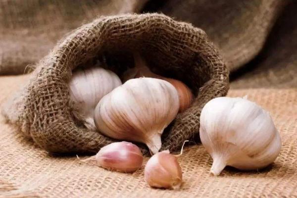 吃大蒜可以增强抵抗力吗 大蒜可以增强免疫力吗