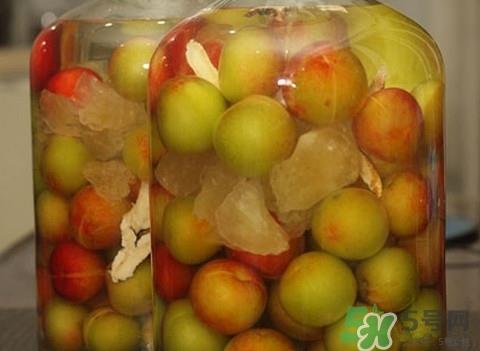 李子可以泡酒吗?李子泡酒的功效与作用 李子可以泡酒吗?李子泡酒的功效与作用