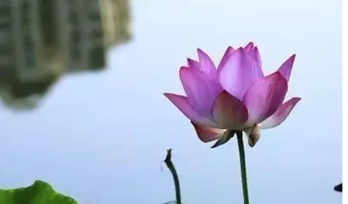 d660698bad26a35d1a5857a0fdbb856e.png 微信截图_20230615112727.png