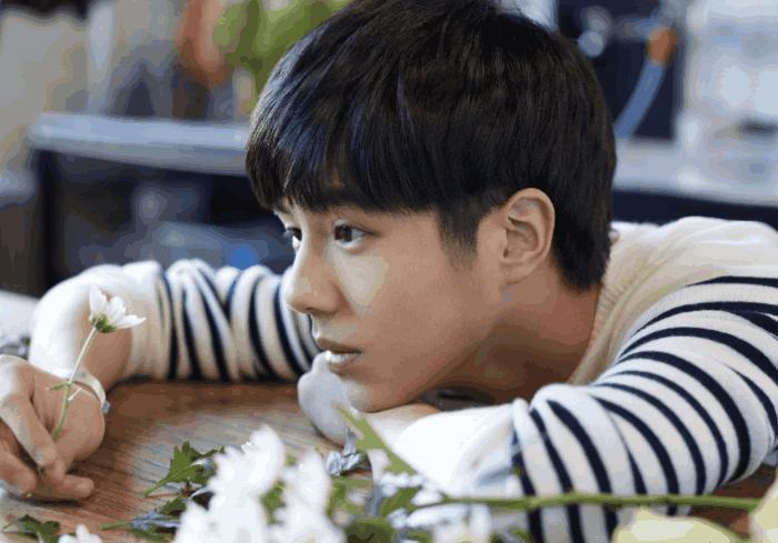 佟丽娅说刘昊然长得像数学系神童, 网友们的评论笑翻众人