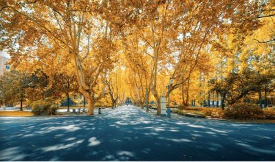 ​这些大学，因为认可度极高被称为984.5