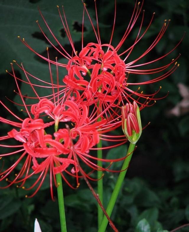 趣味测试：女人应该青春永驻，测测你的心里年龄多少岁？