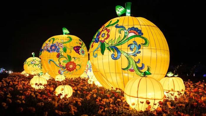 持续40多天，8000万彩灯点亮春城！世博新春灯会来啦！