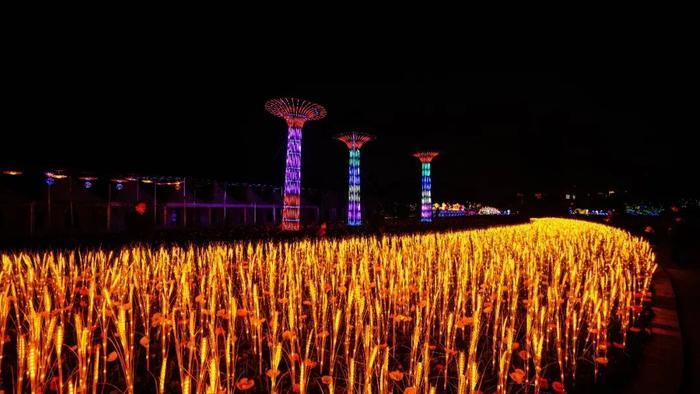 持续40多天，8000万彩灯点亮春城！世博新春灯会来啦！