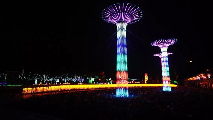 持续40多天，8000万彩灯点亮春城！世博新春灯会来啦！