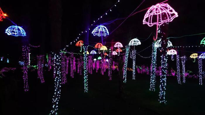 持续40多天，8000万彩灯点亮春城！世博新春灯会来啦！