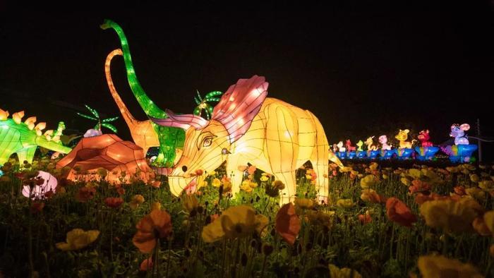 持续40多天，8000万彩灯点亮春城！世博新春灯会来啦！