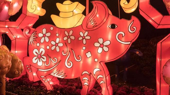 持续40多天，8000万彩灯点亮春城！世博新春灯会来啦！