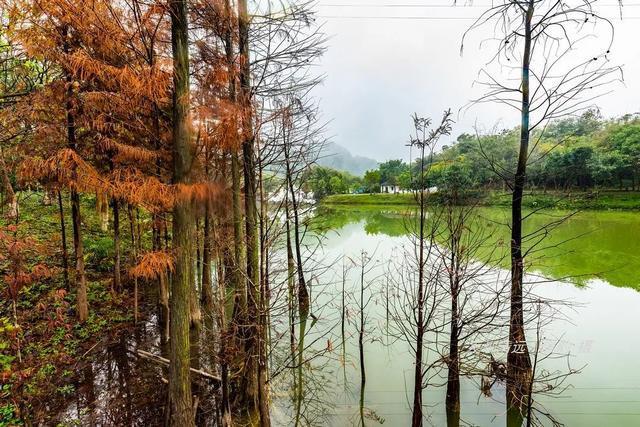 广东英德市区附近,传说有一条仙人遗下的绝美地下河……
