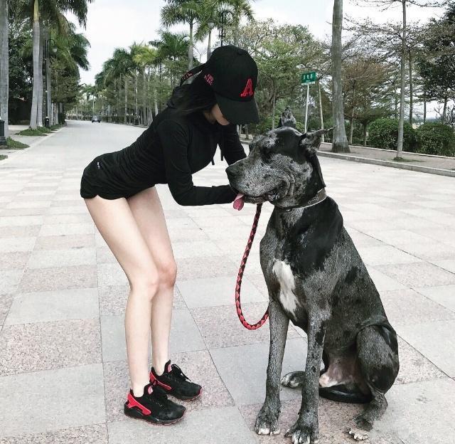 男不养猫女不养狗的说法由来