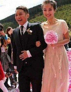 维嘉结婚了吗(维嘉结婚了没)