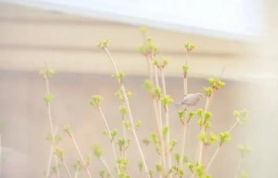 ​绫濑遥全身照绫濑遥,大美女