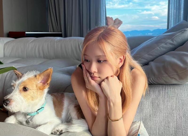 3生肖女和老公没有隔夜仇,感情深似海,嫁给谁都能幸福白首终 3生肖女和老公没有隔夜仇,感情深似海,嫁给谁都能幸福白首终