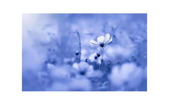 感情咨询：女人出轨的原因是什么？