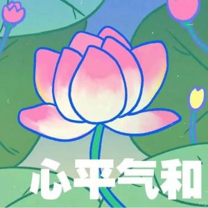 中年人喜欢的莲花/荷花头像又来啦