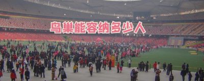 ​北京鸟巢能容纳多少人？明明是外观更好看，游客为啥花钱进去参观
