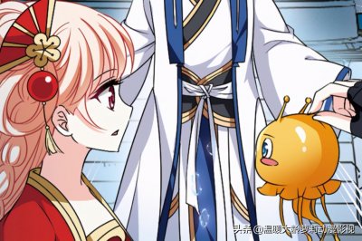 ​风起苍岚：风恋晚也会凡尔赛，新宠名字很有趣，不亏是吃货本人