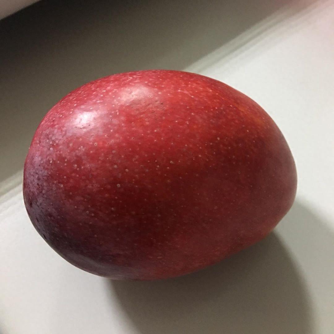 媲美日本“太阳之子”的台湾爱文芒果,究竟是一款什么样的水果?