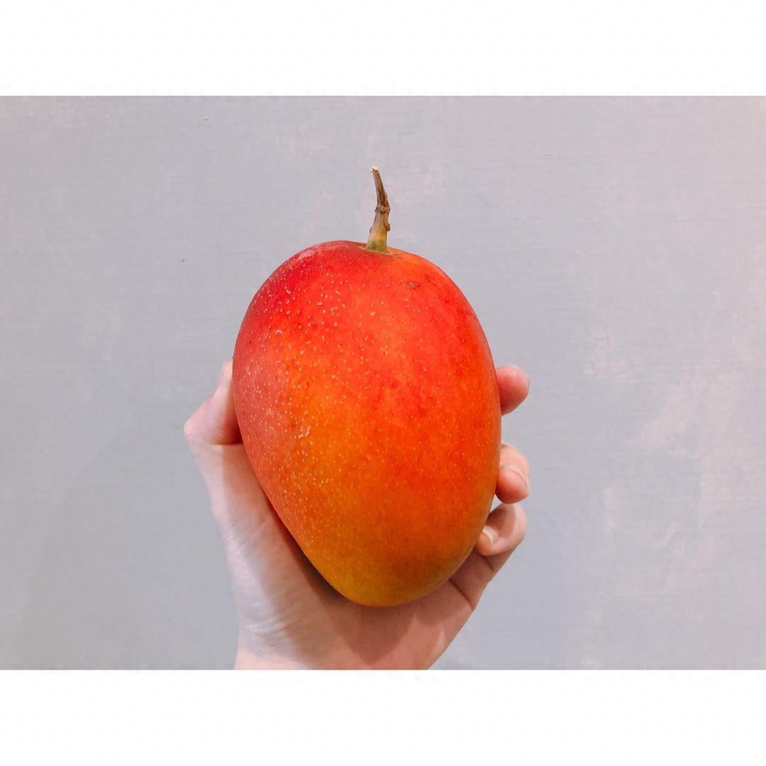 媲美日本“太阳之子”的台湾爱文芒果,究竟是一款什么样的水果?
