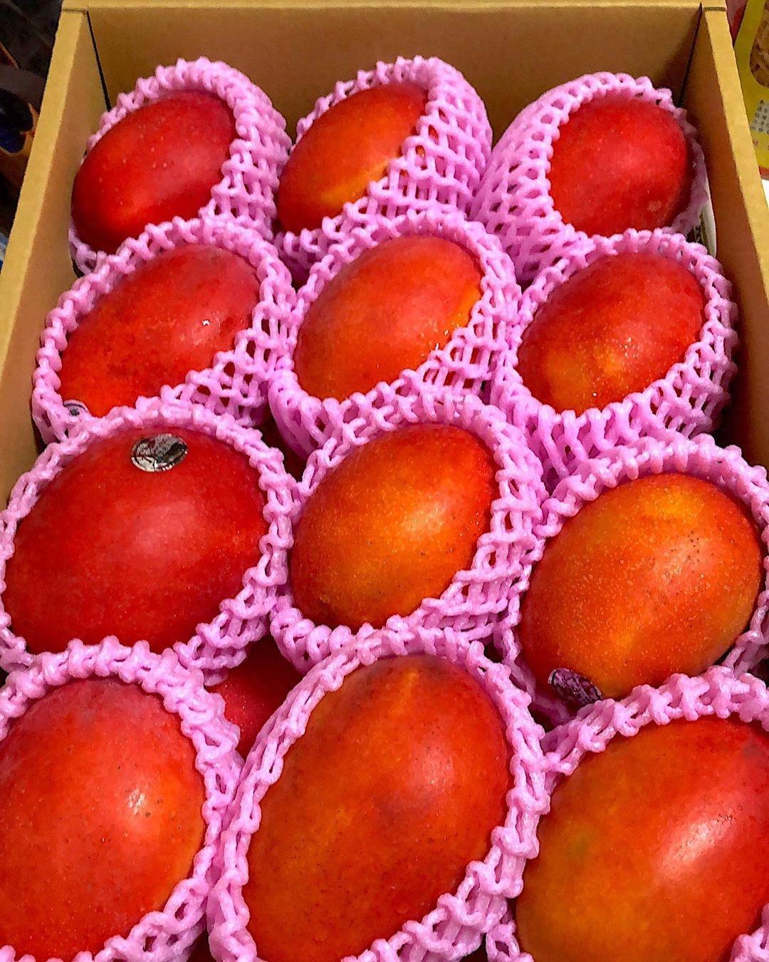 媲美日本“太阳之子”的台湾爱文芒果,究竟是一款什么样的水果?