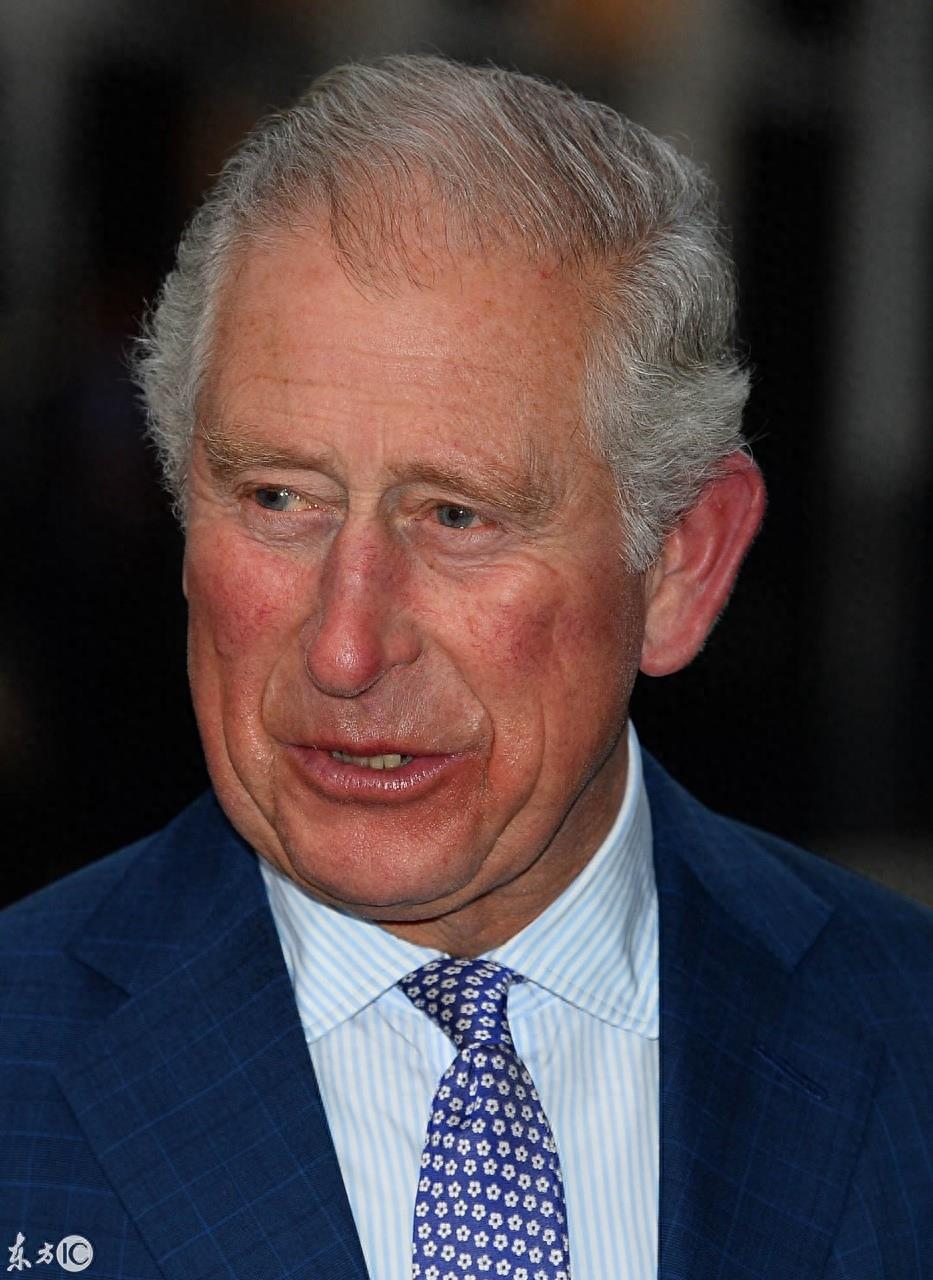 查尔斯70岁生日会,女王称卡米拉帮他成为一个真正的男人