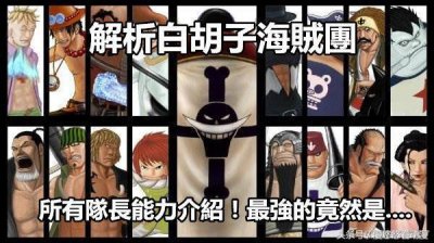 ​解析白胡子海贼团，所有队长能力介绍！马尔科最强？