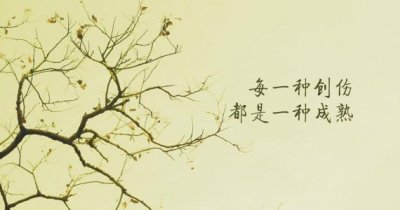 ​近两年会计专硕全国各高校的分数线